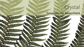  Presentation with fern - Cool new presentation with abstract-image-of-a-green backdrop and a mint green colored foreground