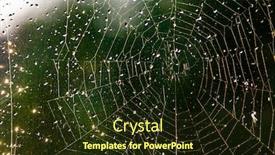  Presentation with spider web - Theme featuring abstract-image-of-a-spider background and a tawny brown colored foreground
