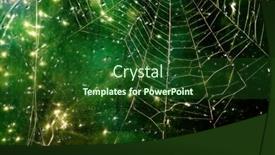  Presentation with spider web - Amazing theme having abstract-image-of-a-spider backdrop and a forest green colored foreground