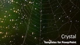  Presentation with spider web - PPT theme featuring abstract-image-of-a-spider background and a black colored foreground