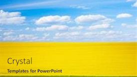  Presentation with minimalistic - Slides with abstract-image-of-a-spring background and a gold colored foreground