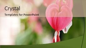  Presentation with heart flowers - Cool new theme with abstract image of beautiful bleeding backdrop and a lemonade colored foreground