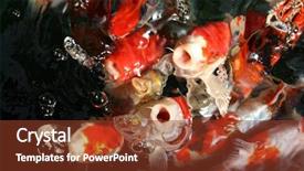  Presentation with koi fish - Theme featuring abstract images of koi fish background and a tawny brown colored foreground