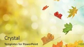  Presentation with abstract leaves - Audience pleasing slide set consisting of abstract landscape - autumn leaves backdrop and a yellow colored foreground