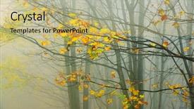  Presentation with forest - Audience pleasing PPT layouts consisting of abstract landscape - forest autumn colors backdrop and a yellow colored foreground