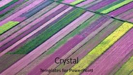  Presentation with aerial - PPT layouts consisting of starfish in caribbean sea near isla saona dominican republic background and a gray colored foreground