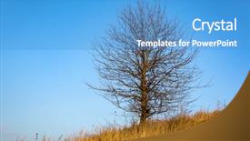  Presentation with autumn blue - Beautiful PPT theme featuring abstract leafless tree on autumn backdrop and a teal colored foreground