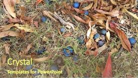  Presentation with abstract leaves - Presentation design consisting of abstract leaves and native berries background and a violet colored foreground