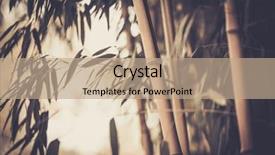  Presentation with abstract light brown - Cool new slide deck with abstract light brown - toned picture of a bamboo backdrop and a coral colored foreground