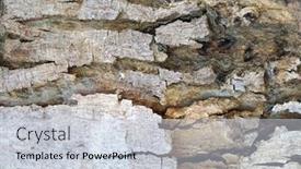  Presentation with green abstract leaves texture - Presentation design enhanced with abstract-macro-bark-textures-bark background and a lemonade colored foreground