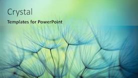  Presentation with abstract spring green - Beautiful slides featuring abstract-natural-background-beautiful-fluffy backdrop and a mint green colored foreground