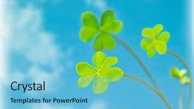  Presentation with blue floral - Beautiful slide deck featuring abstract natural background clover backdrop and a light blue colored foreground