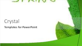  Presentation with abstract natural fresh green - Slide deck having abstract-natural-border-fresh-green background and a white colored foreground