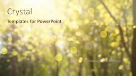  Presentation with blur - Cool new slide set with abstract-nature-background-blur-trees backdrop and a cream colored foreground