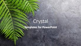  Presentation with abstract leaves - Slide deck featuring abstract-nature-background-with-fern background and a gray colored foreground