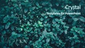  Presentation with dark green abstract - Colorful PPT theme enhanced with abstract nature background with mint backdrop and a ocean colored foreground