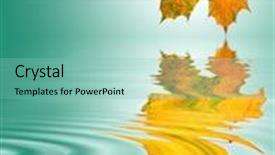  Presentation with maple leaf - Amazing theme having abstract of a maple leaf in the colors of autumn with reflection over rippled water over pastel green background with white central glow backdrop and a seafoam green colored foreground
