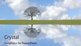  Presentation with oak tree - Cool new slide set with abstract of an oak tree backdrop and a light blue colored foreground
