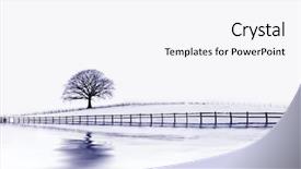  Presentation with oak tree - Beautiful presentation design featuring abstract of an oak tree backdrop and a white colored foreground