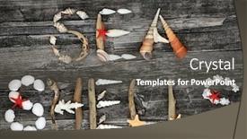  Presentation with sea shells - Slides featuring abstract-of-driftwood-seashells-pebbles background and a dark gray colored foreground