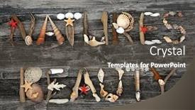  Presentation with wood rustic - PPT layouts consisting of abstract-of-driftwood-seashells background and a dark gray colored foreground