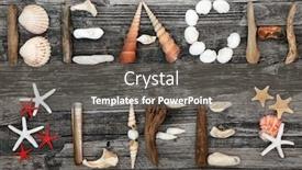  Presentation with wood rustic - Presentation design consisting of abstract-of-driftwood-seashells background and a gray colored foreground