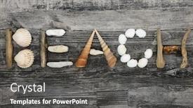  Presentation with wood rustic - Colorful slide deck enhanced with abstract-of-seashells-driftwood backdrop and a dark gray colored foreground