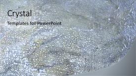  Presentation with article - Presentation theme consisting of abstract oil painted texture background and a light gray colored foreground