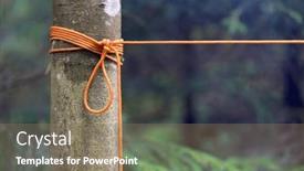  Presentation with orange abstract - Presentation featuring abstract-orange-rope-knot background and a coral colored foreground