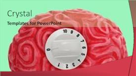  Presentation with human mind - Presentation theme having abstract-organic-organ-human-brain background and a mint green colored foreground