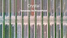  Presentation with patterns - PPT layouts enhanced with abstract-patterns-of-tulip-farm background and a gray colored foreground