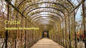  Presentation with tunnel - Colorful slide deck enhanced with abstract-perspective-view-of-arched backdrop and a tawny brown colored foreground