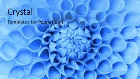  Presentation with pink petal flower animated - Cool new PPT theme with abstract petals of a flower backdrop and a  colored foreground