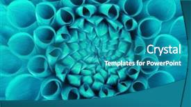  Presentation with pink petal flower animated - Slide set enhanced with abstract petals of a flower background and a  colored foreground