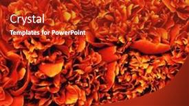  Presentation with orange-abstract - Presentation theme featuring abstract-petals-of-a-orange background and a crimson colored foreground