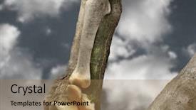  Presentation with anatomy bones - Amazing slides having abstract photo of human bones backdrop and a coral colored foreground