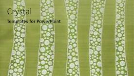  Presentation with pattern - PPT theme featuring abstract-raised-pattern-background background and a  colored foreground