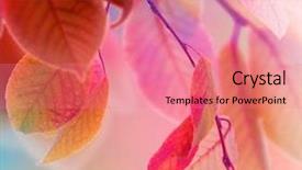  Presentation with fall leaves border autumn - Beautiful PPT theme featuring abstract red - autumn leaves design backdrop and a coral colored foreground