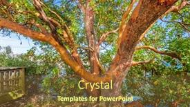  Presentation with green abstract - Colorful presentation theme enhanced with abstract-red-arbutus-and-green backdrop and a tawny brown colored foreground