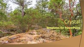  Presentation with abstract red - Theme consisting of abstract-red-arbutus-and-green background and a tawny brown colored foreground