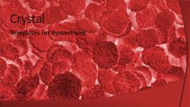  Presentation with red blood cells - Cool new slides with abstract red blood cells medical backdrop and a red colored foreground