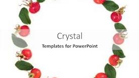  Presentation with abstract leaves - Presentation design having abstract-rosehip-wreath-with-berry background and a white colored foreground