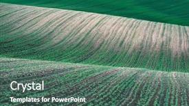  Presentation with agriculture crops - Presentation having abstract rural landscape with green background and a ocean colored foreground