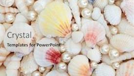  Presentation with pearls - Audience pleasing theme consisting of abstract-seashell-selection-with-scallop backdrop and a lemonade colored foreground