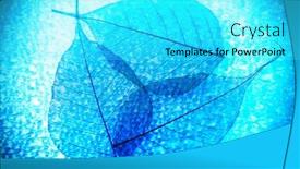  Presentation with abstract leaves - Audience pleasing slide set consisting of abstract skeleton leaves background backdrop and a cyan colored foreground