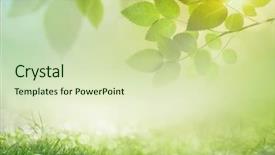  Presentation with abstract spring green - Presentation featuring abstract spring background with grass background and a soft green colored foreground