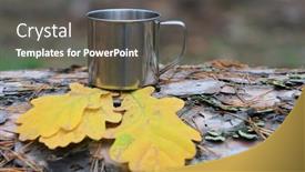  Presentation with oak forest - Slide set having abstract-steel-tourist-cup background and a dark gray colored foreground