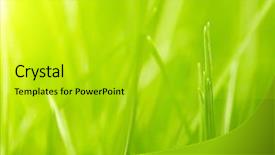  Presentation with abstract green - Slides featuring child development - safety construction free - swing background and a tawny brown colored foreground