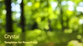  Presentation with focus - Beautiful presentation theme featuring abstract summer - green natural background backdrop and a tawny brown colored foreground