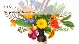  Presentation with surreal - Slides with abstract-summer-flower-wildflower background and a white colored foreground